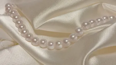 Muga silk
